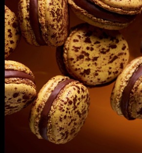 Macaron chocolat-passion